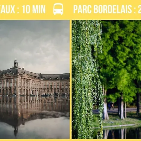 Cosy In Center Of Bordeaux